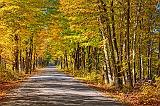 Cove Road In Autumn_17508